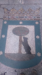 That's a madrono tree which the bear is leaning against.