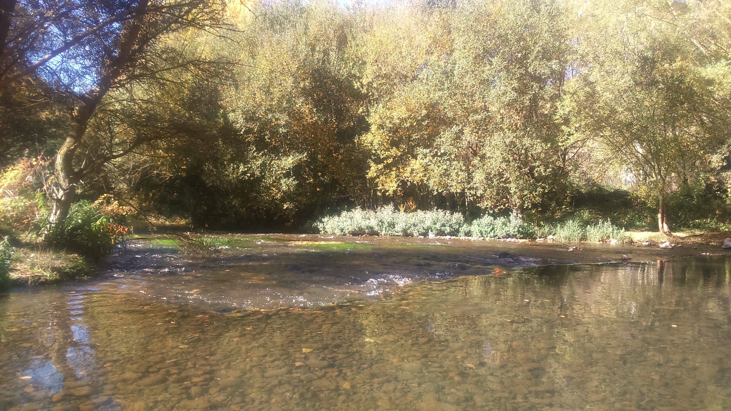 spain-autumn-2016-phone-1213