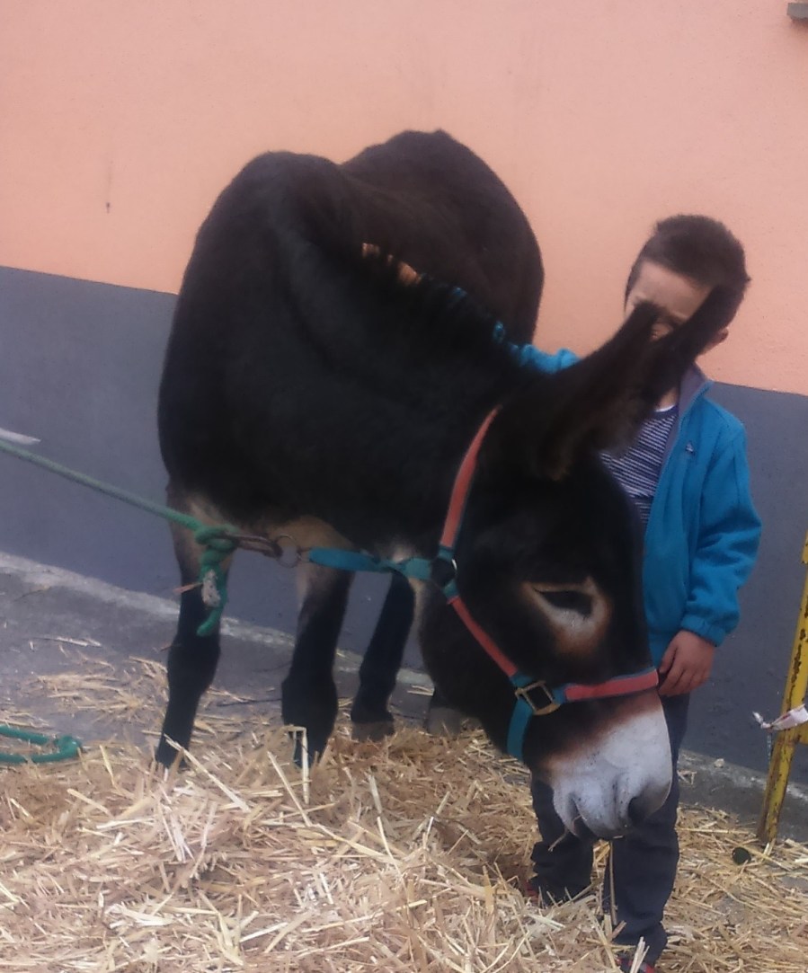 spain-autumn-2016-phone-886