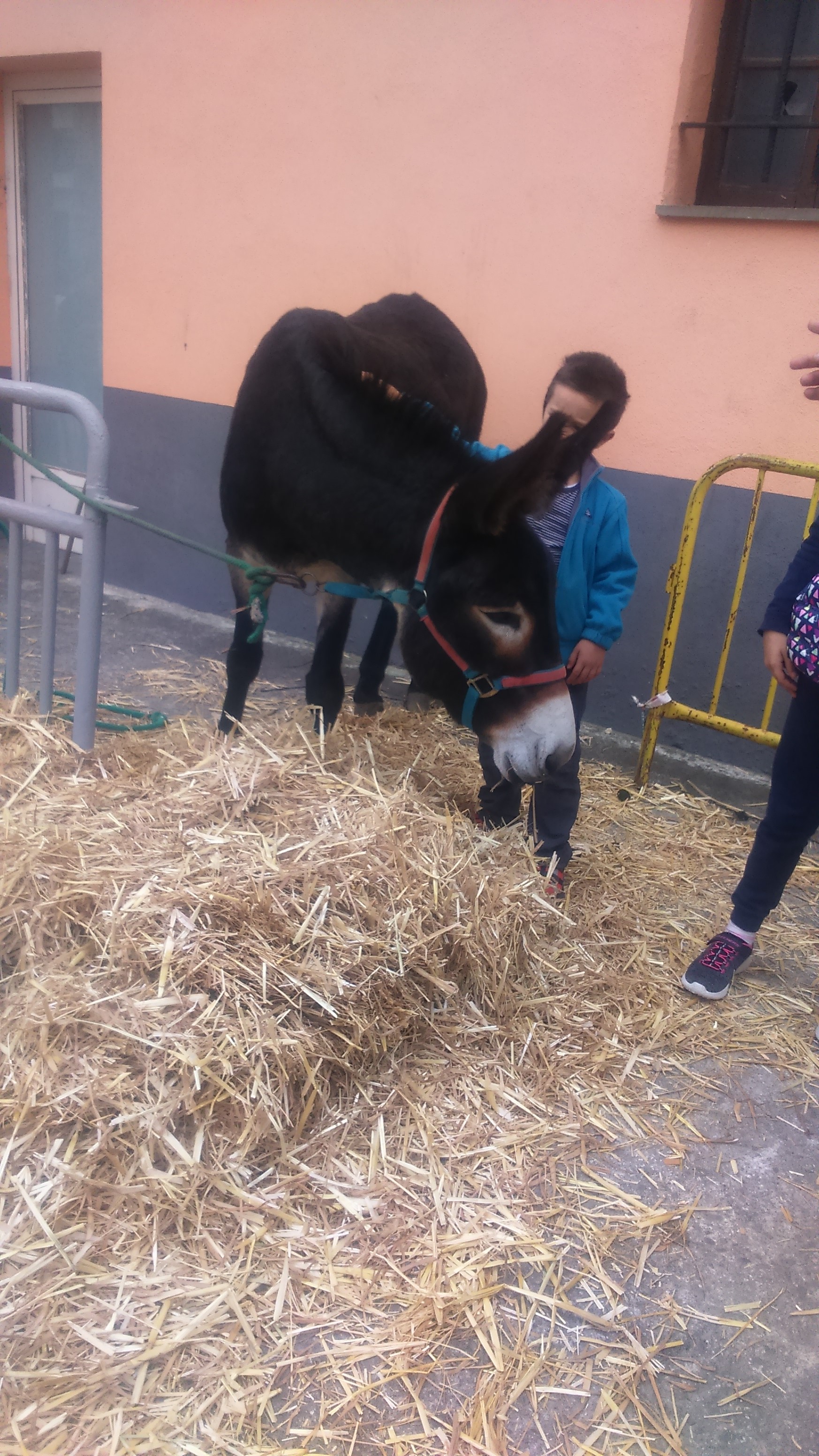 spain-autumn-2016-phone-886