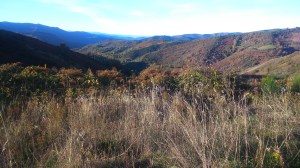 Wonderful views from the top 