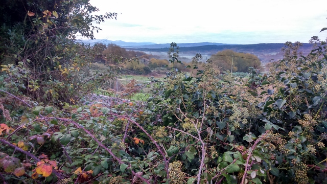 DSC_0001_7 (640x360)