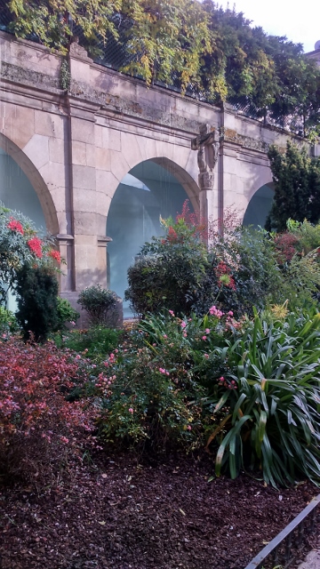 DSC_0006_5 (360x640)