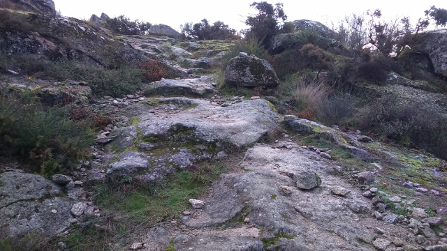 DSC_0009_10 (640x360)