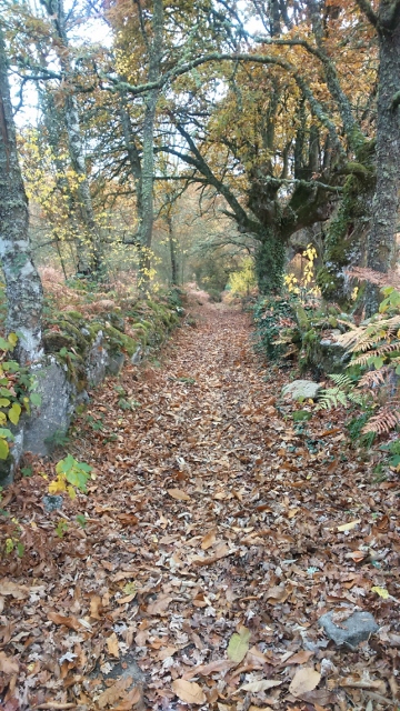 DSC_0020_6 (360x640)