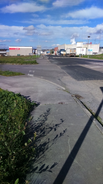 DSC_0023_5 (360x640)