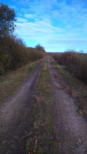 DSC_0027_6 (360x640)