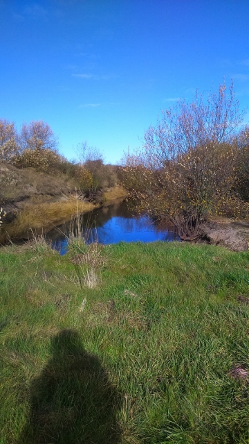 DSC_0029_7 (360x640)