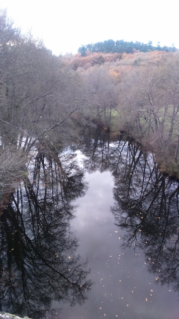 DSC_0041_3 (360x640)