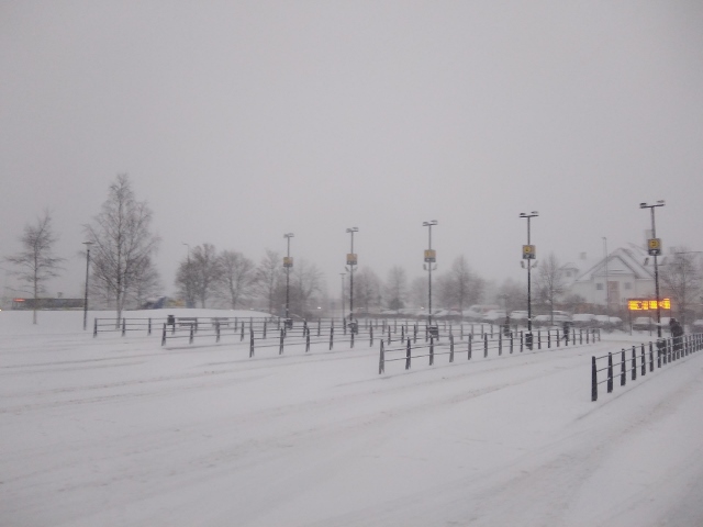 IMG_20171122_150850 (640x480)