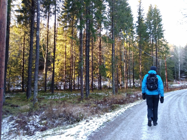 IMG_20171124_131122 (640x480)