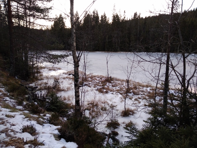 IMG_20171124_151823 (640x480)