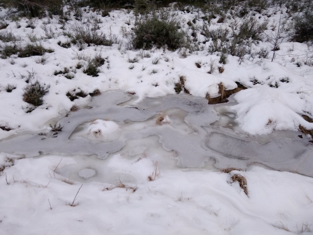 IMG_20171124_152206 (640x480)