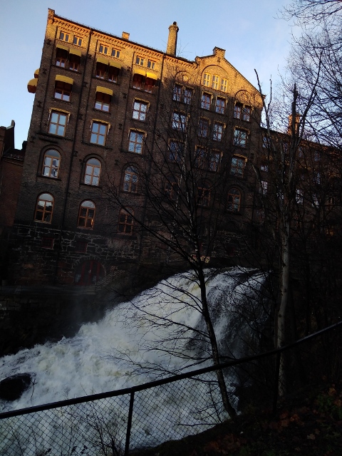 IMG_20171125_092034 (480x640)