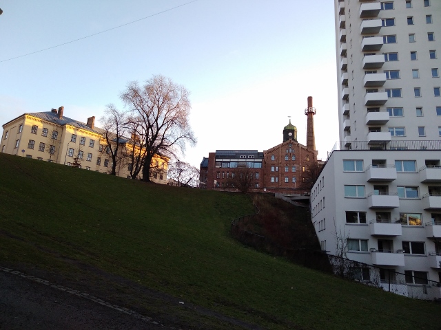 IMG_20171125_092124 (640x480)