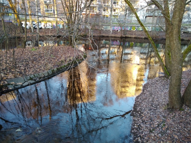 IMG_20171125_092930 (640x480)