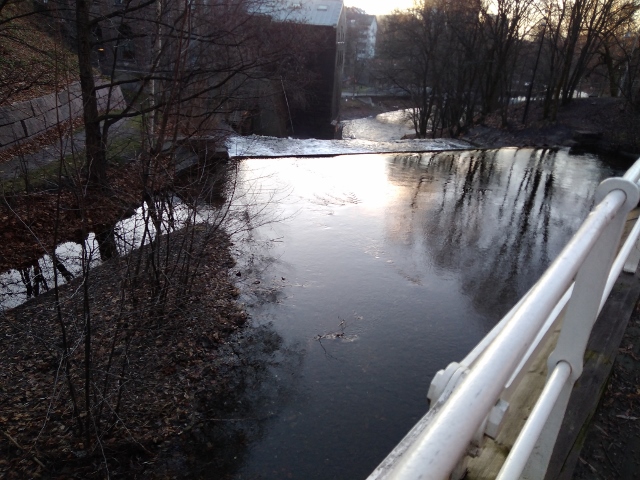 IMG_20171125_092940 (640x480)