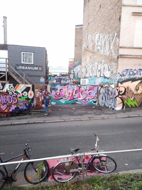 IMG_20171125_094002 (480x640)