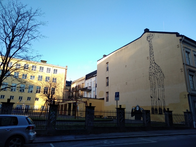 IMG_20171125_094124 (640x480)