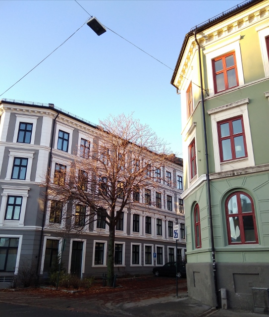 IMG_20171126_200514 (543x640)