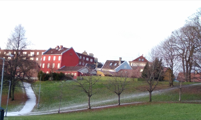 IMG_20171126_201019 (640x384)