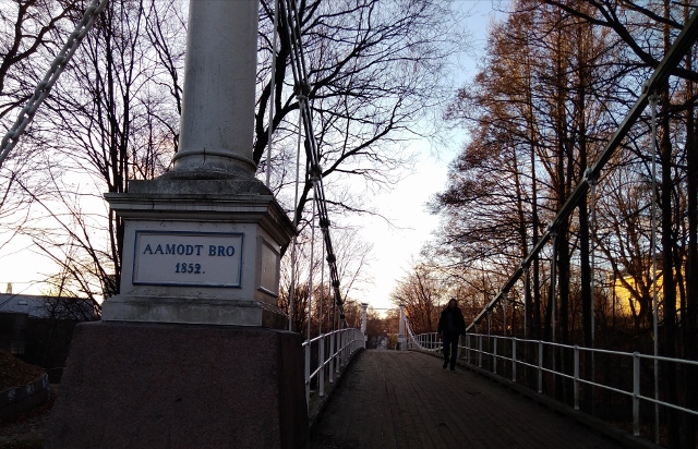 IMG_20171126_201244 (640x412)