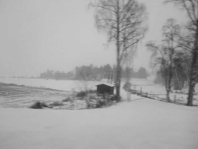 IMG_20171127_160819 (640x480)