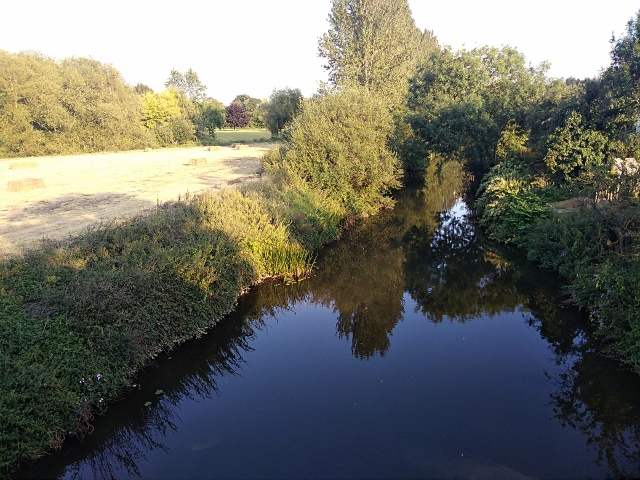 IMG_20170901_180109 (640x480)