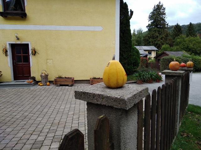 IMG_20171006_151254 (640x480)