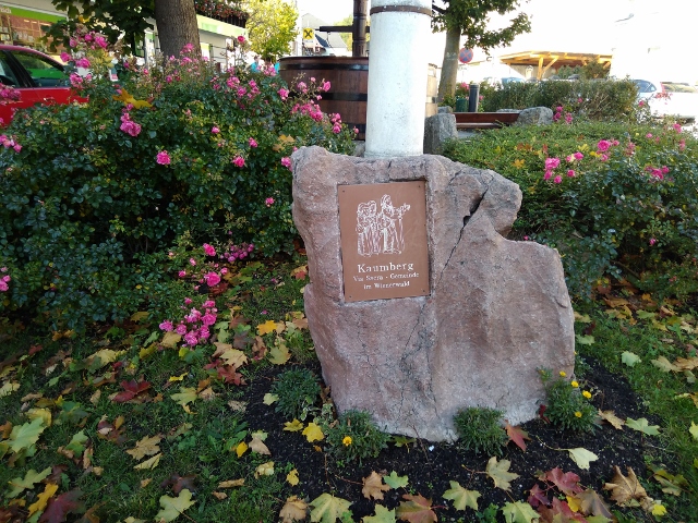 IMG_20171007_090931 (640x480)