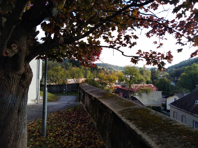 IMG_20171007_091751 (640x480)