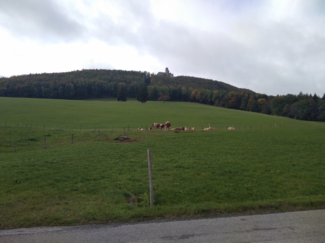 IMG_20171007_095146 (640x480)