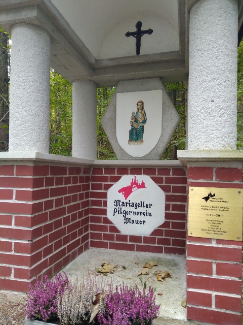 IMG_20171007_095740 (480x640)