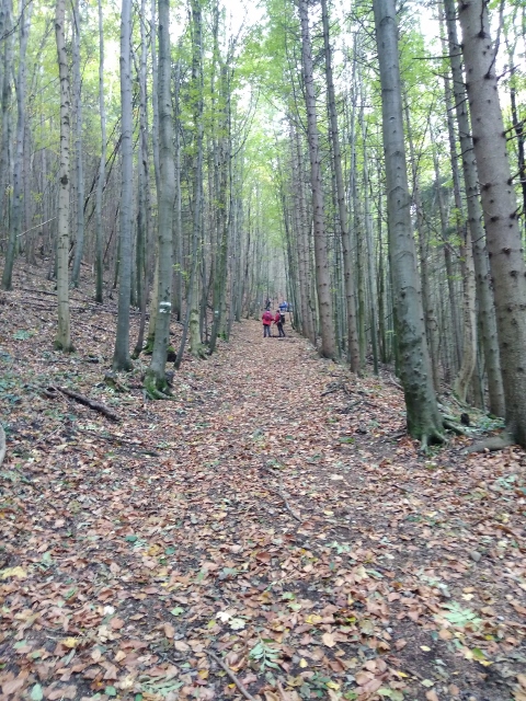 IMG_20171007_100557 (480x640)