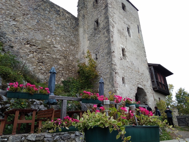 IMG_20171007_102653 (640x480)