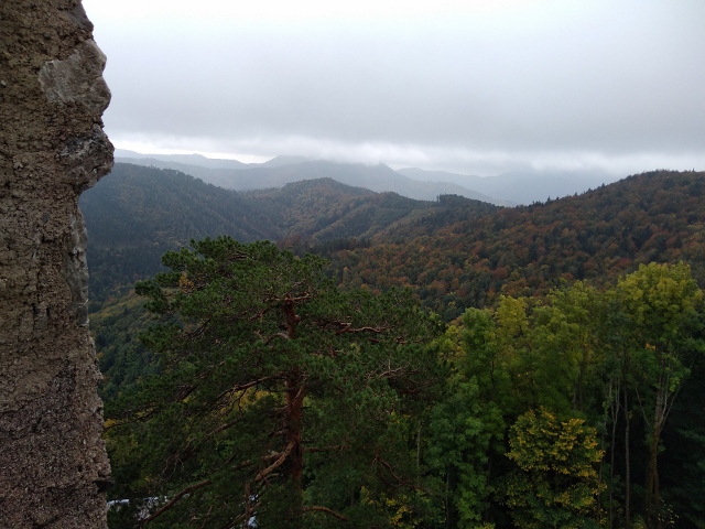 IMG_20171007_103103 (640x480)