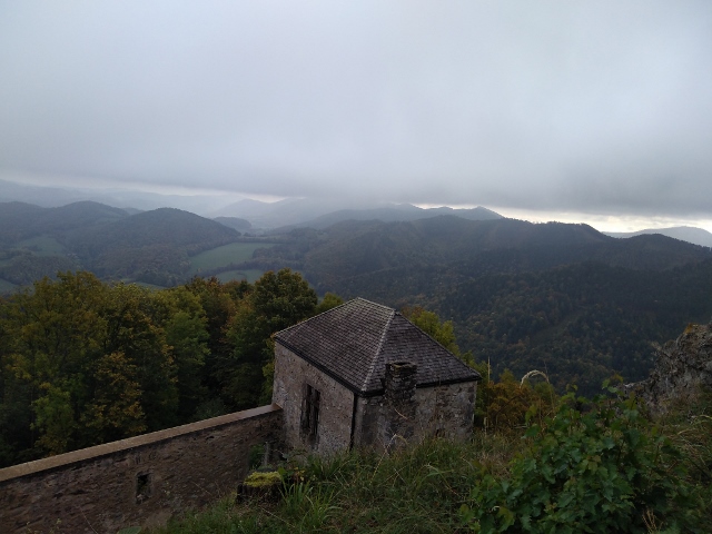 IMG_20171007_103118 (640x480)