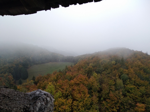 IMG_20171007_103341 (640x480)