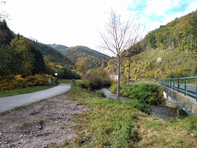 IMG_20171007_143518 (640x480)