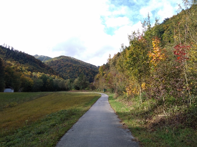 IMG_20171007_143614 (640x480)