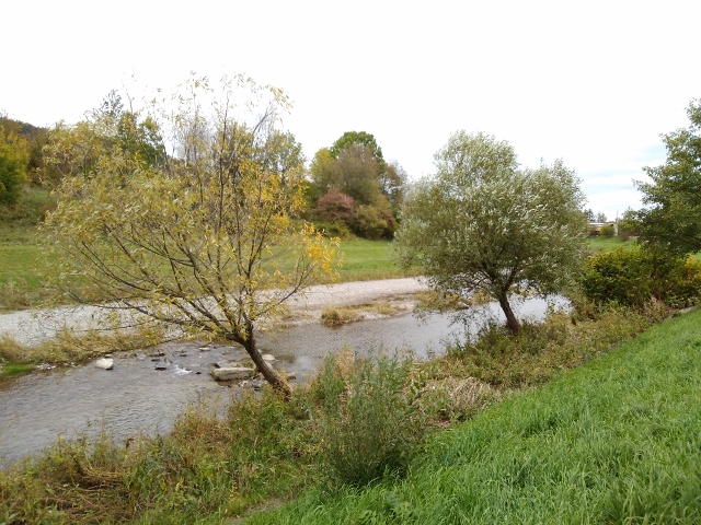 IMG_20171008_091733 (640x480)