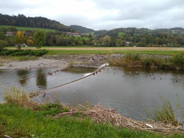 IMG_20171008_092453 (640x480)