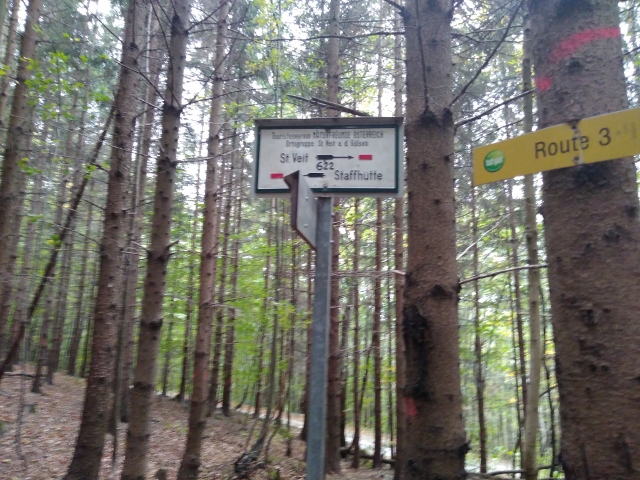 IMG_20171008_095148 (640x480)