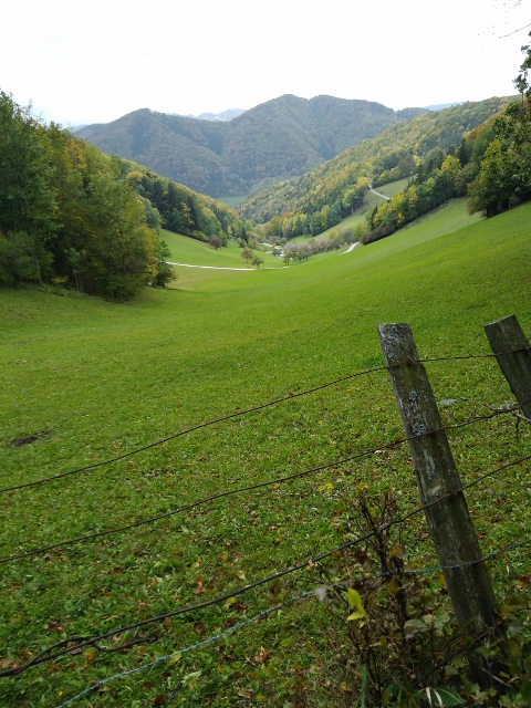 IMG_20171008_113100 (480x640)