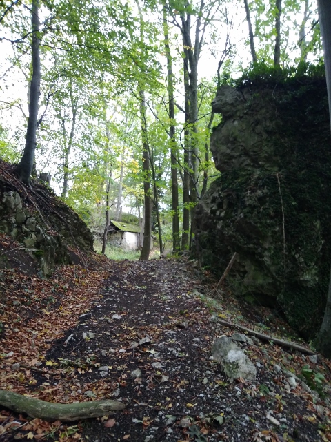 IMG_20171008_113755 (480x640)