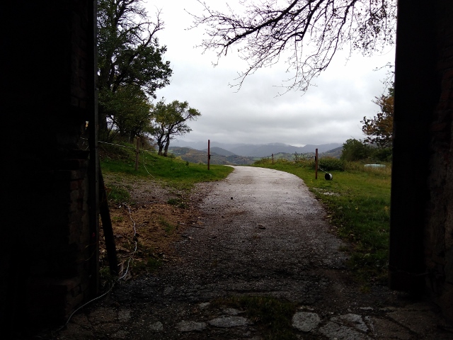 IMG_20171008_114139 (640x480)