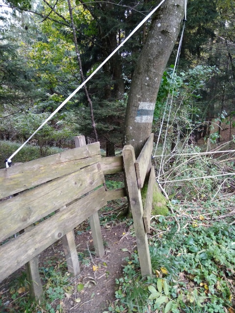 IMG_20171008_115921 (480x640)