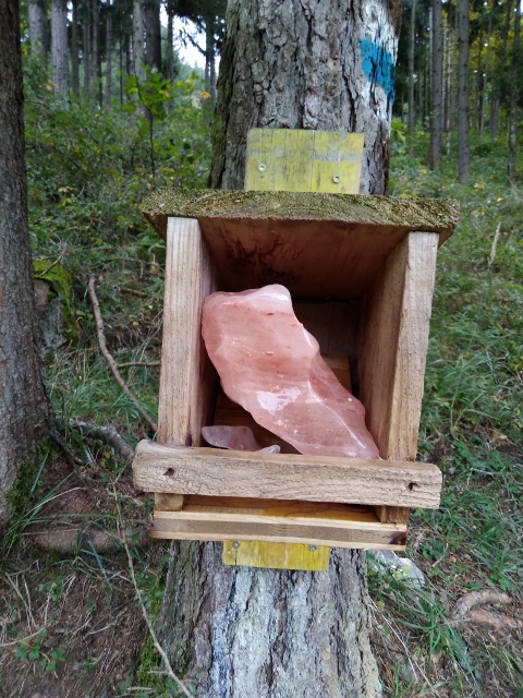 IMG_20171008_122236 (480x640)