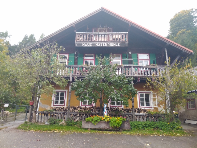 IMG_20171008_133354 (640x480)