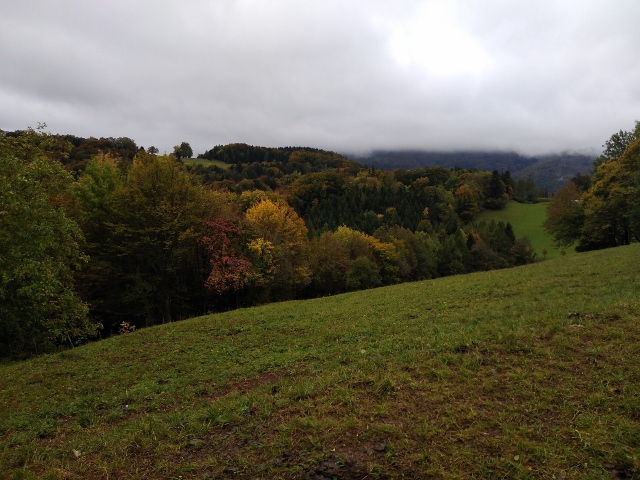 IMG_20171008_142810 (640x480)